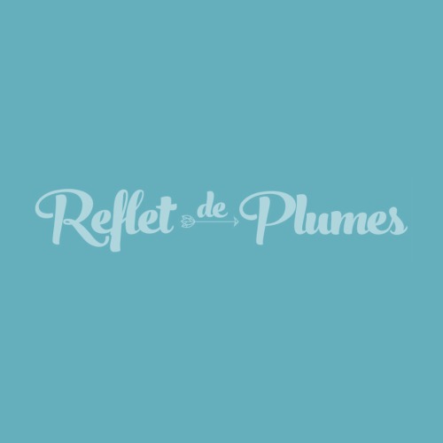 création du logotype pour la marque de la boutique Reflet de plumes