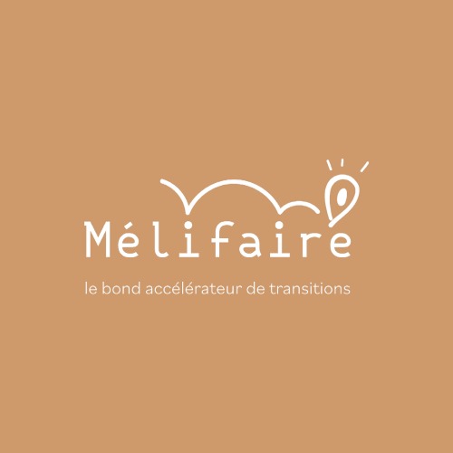 création du logo pour la marque d'un entrepreneur sous le nom mélifaire en ardèche